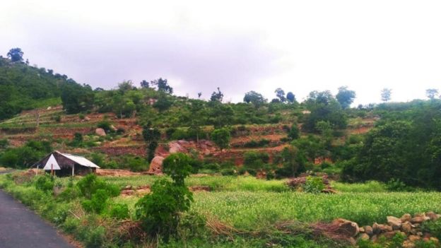 போலி செய்தி உருவாக்கிய மரணபயம்: இளைஞர்களின் உண்மை கதை