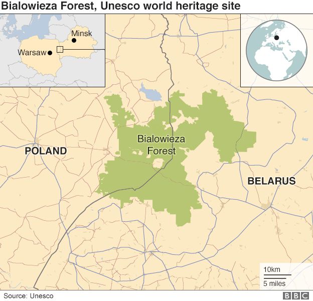 Bialowieza Forest map