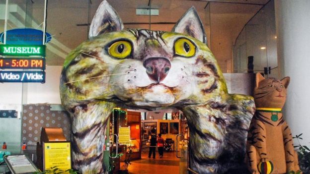 猫博物馆