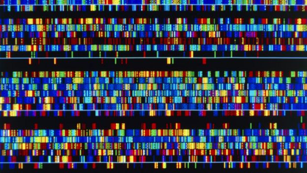 Secuencia de ADN humano