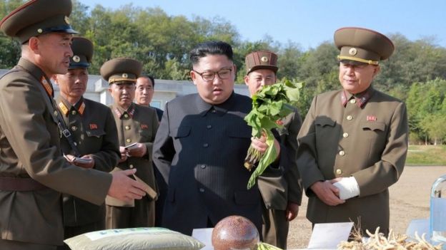 Kim Jong-un inspecting vegetables in Pyongyang (2017)