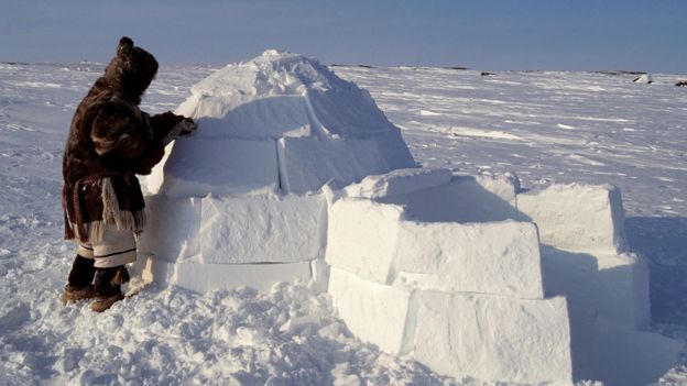 An Inuit man building an igloo