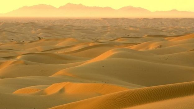 பாலைவனம்