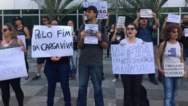 protestos de ativistas pelo direito dos animais
