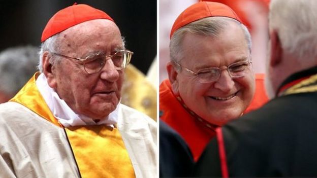 105718535 fbc0dd7e 1121 4a6b 9fbb e4cccc64503c - Catholic cardinals urge end of 'homosexual agenda'
