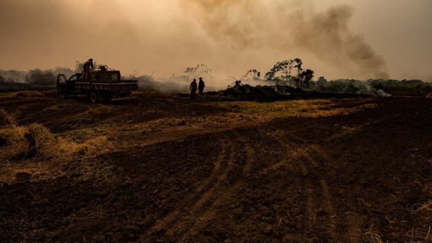 Brigadistas em ação para combater o fogo no Pantanal