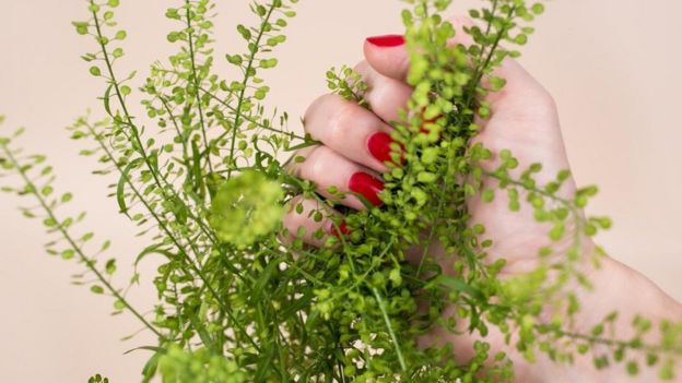 Una mujer tomando una planta