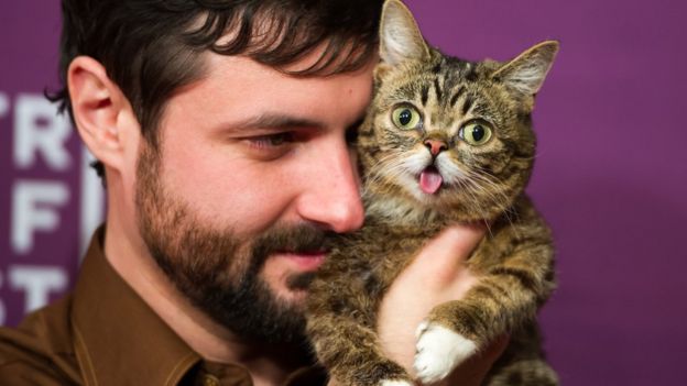 Bubs owner Mike Bridavsky (L) and celebrity internet cat Lil Bub attends the screening of "Lil Bub & Friendz"