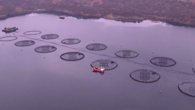 loch shuna