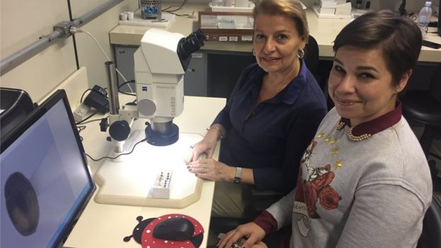 Lúcia Massutti de Almeida e Camila Fediuk de Castro Guedes