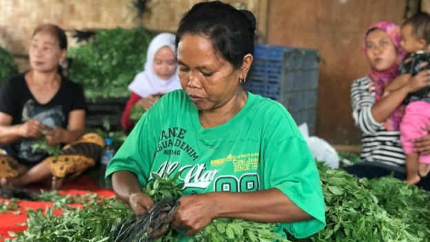 Ibu-ibu teluk naga