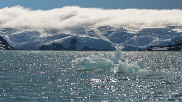 جنوبگان ویروس کرونا ندارد، ولی تعداد انسان‌هایش نیز ناچیز است
