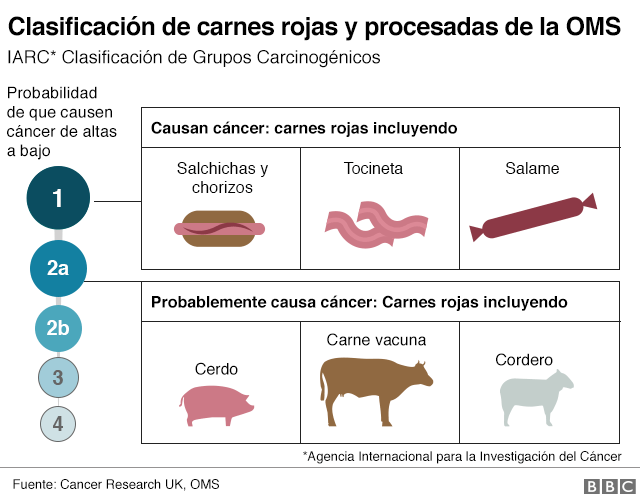 Beneficios De La Carne De Puerco Noticias De Carne 2325