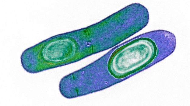 Clostridium difficile drug-resistant bacteria