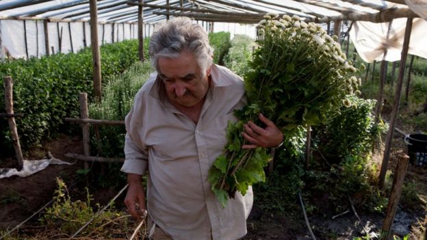 Mujica en su huerto.