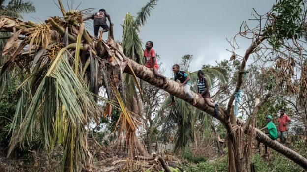 Africa's Week In Pictures: 22-28 March 2019 - BBC News