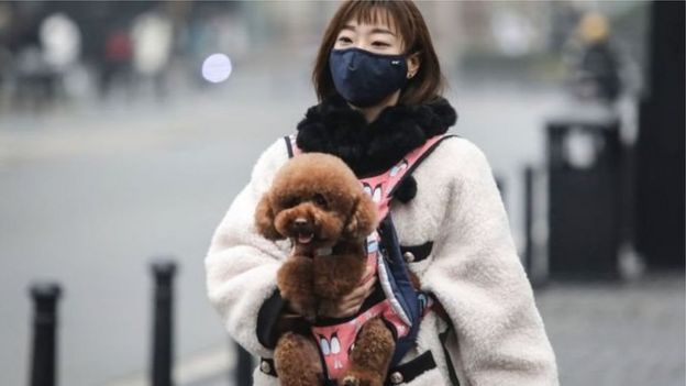 করোনাভাইরাস