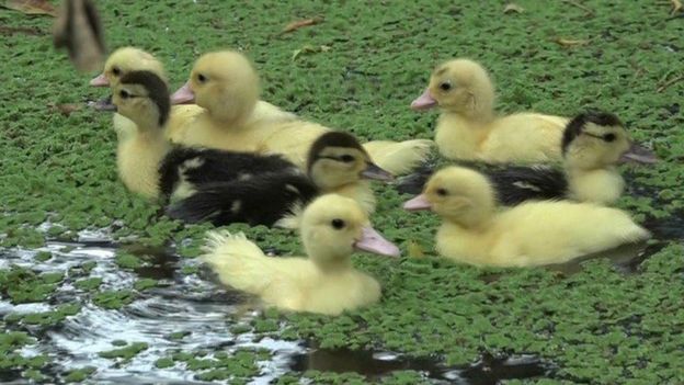 இலங்கை உள்நாட்டு போரிலிருந்து மீண்ட ஒரு பெண்ணின் வெற்றி கதை