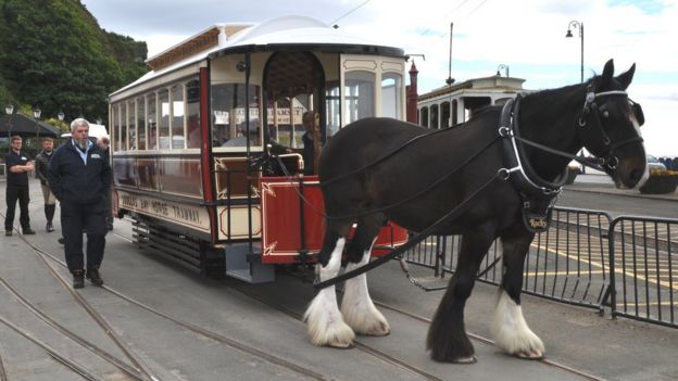 Manx horse trams return to Douglas Promenade for 2023 season - BBC News