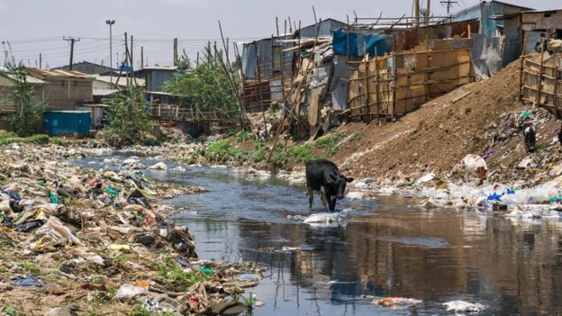 La contaminaciÃ³n por plÃ¡stico es un problema global.