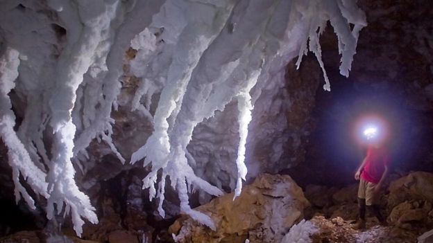 Lechuguilla mağarasındaki selenit kristalleri