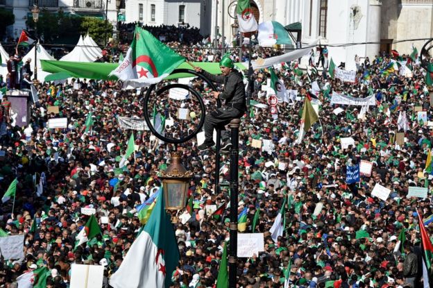 Rally on 29 March 2019 in Algiers