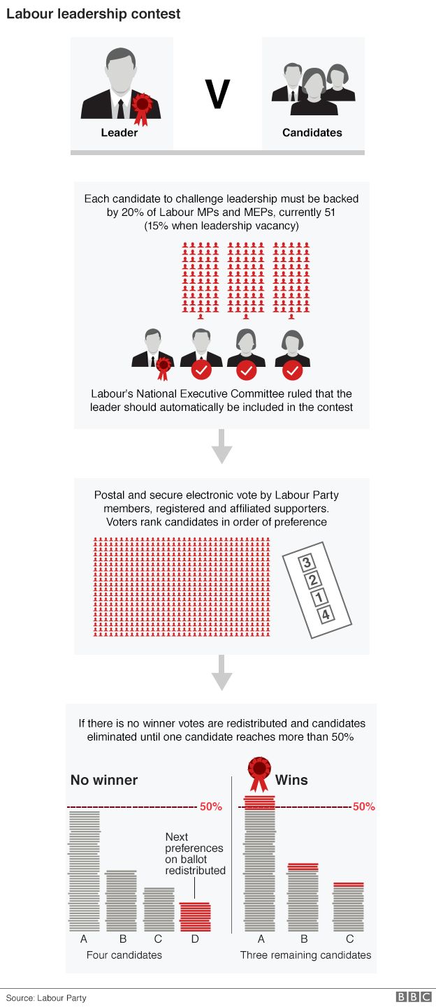 Labour leader voting process