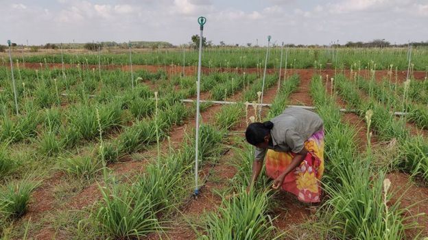 சந்திரா