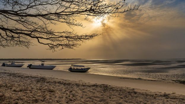 A beach in Guinea-Bissau