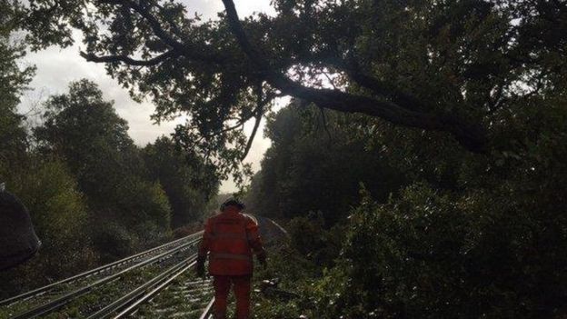 Los árboles caídos sobre las vías han causado interrupciones en el servicio de trenes. (Foto: Network Rail)