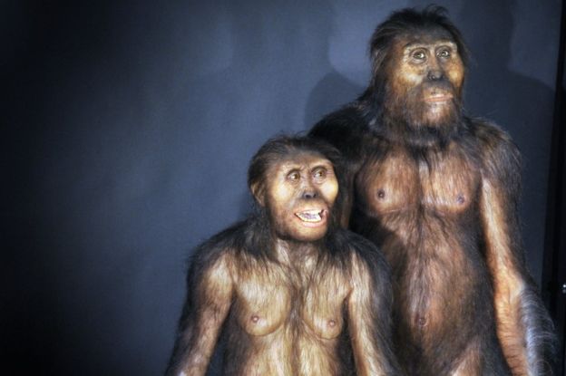 Recreación de una pareja de Australopitecus afarensis