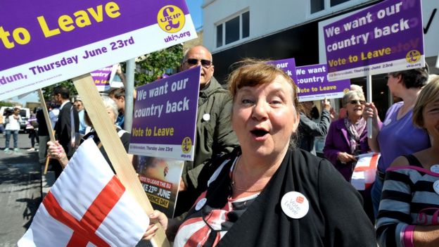 Simpatizante del Brexit