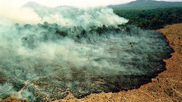 Incendio forestal en el estado de Roraima en marzo