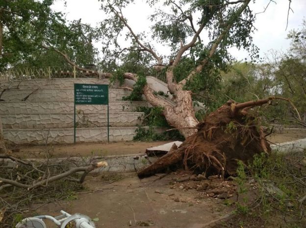 Dust storm effects in Rajasthan