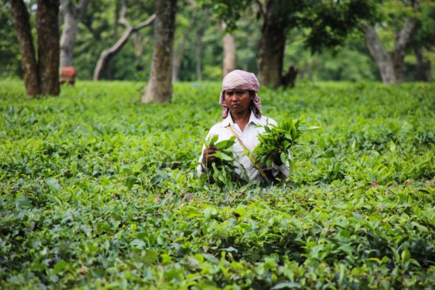 à¤à¤¿à¤¯à¤¾