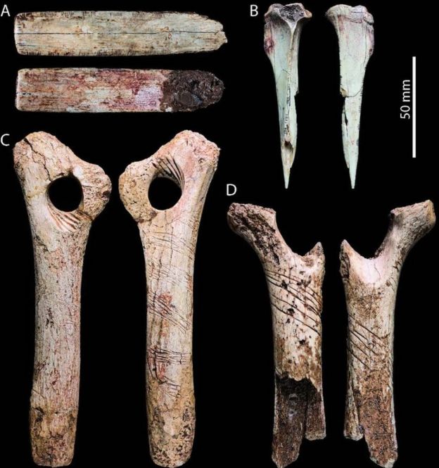 Huesos marcados encontrados en la cueva de Cheddar