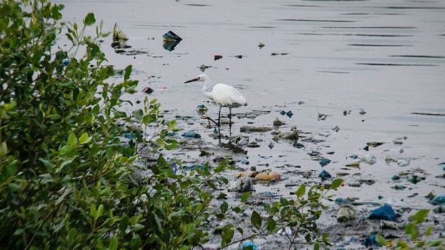 Agua contaminada.