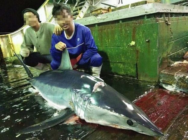 ABK Indonesia di kapal China