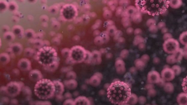 করোনাভাইরাস সংক্রমণে ফুসফুসে পানি জমে গেলে রোগী ভেন্টিলেটর ছাড়া শ্বাসপ্রশ্বাস নিতে পারে না