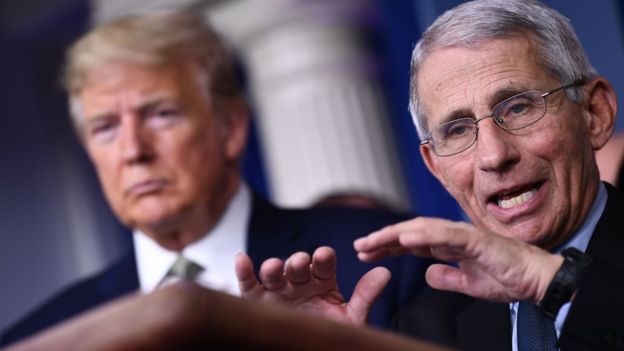 Anthony Fauci com o presidente Donald Trump em coletiva de imprensa