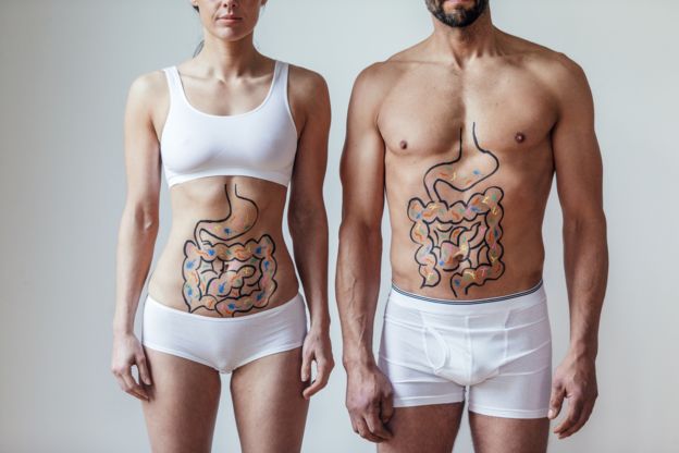 Imagem mostra homem e mulher com abdomen pintado simulando intestinos e bactérias