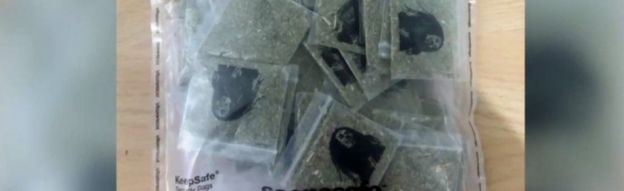 Times Square car crash driver Richard Rojas 'heard voices' - BBC News