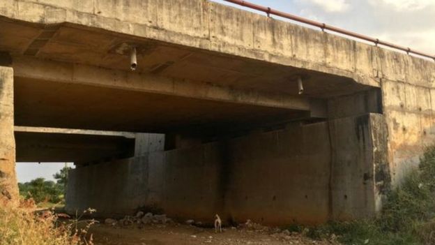 உயிரிழந்த கால்நடை மருத்துவர்