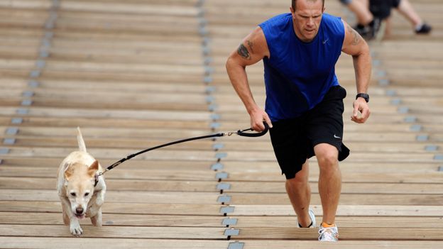 Perro corriendo