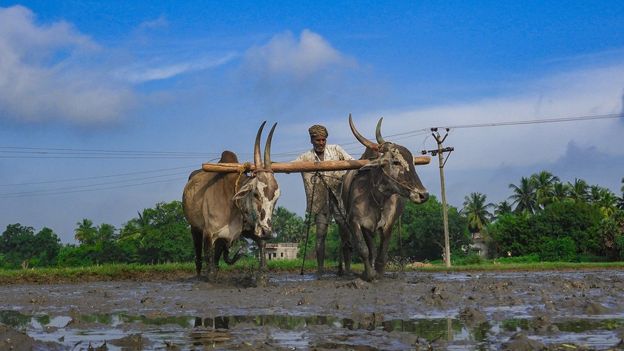கந்தவேலு, புதுச்சேரி