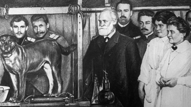 Pávlov es conocido sobre todo por formular la ley del reflejo condicional. Aquí aparece (centro, con barba) haciendo sus primeros experimentos en el departamento de Psicología del la Academia Militar de Medicina, 1911.