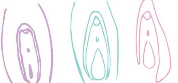 Ilustraciones de vulvas.