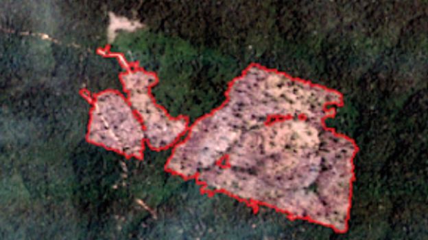 Imagem de satélite da mesma área da floresta, mas desmatada
