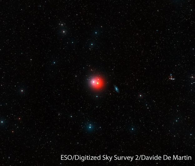 Estrella gigante de color rojo π1Gruis. (Foto cortesía: ESO/Digitized Sky Survey 2/Davide De Martin)