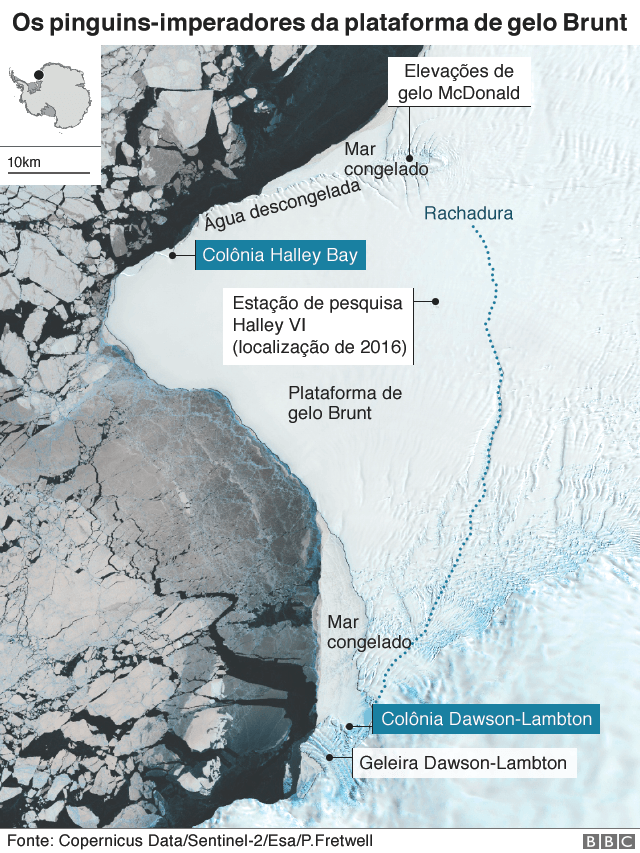 Mapa indicando a localização da plataforma de gelo Brunt, onde viviam os pinguins-imperadores